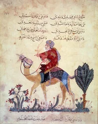 En kamelresenär. Miniatyr från "Maqamat" (seanser) av Abu Mohammed al-Kasim ibn Ali Hariri (eller Al-Hariri eller Al Hariri) (1054-1122), som 1237 belystes av Yahya Mahmud al-Wasiti (al Wasiti), Paris, B.N.