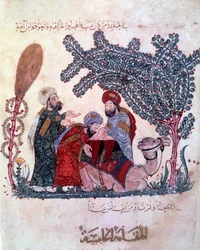 den borgerliga al-Harith (Al Harith), son till Hammam, upptäcker ett meddelande från den vandrande navigatören Abu-Zayd (Abu Zayd) -Hariri eller Al Hariri) (1054-1122) upplyst