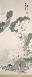 Häger och lotus, n.d.