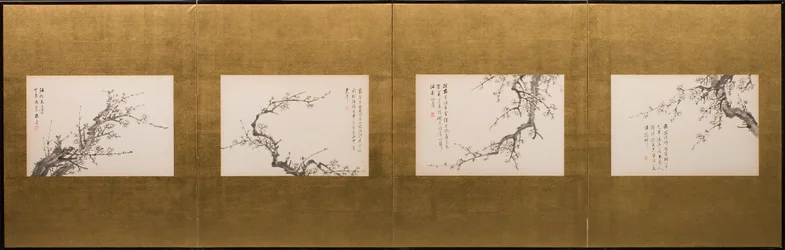 Prunus blommar
