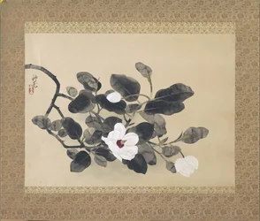 Scrollmålning med magnoliakren