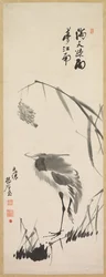 Egret och vass