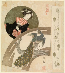 Geisha och påfågel (faksimil) (CBL J 2090)