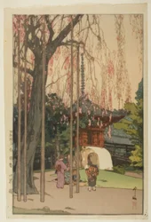 Körsbärsträdet i Kawagoe