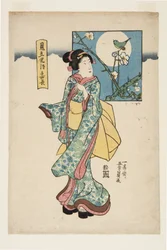 Palo dy of Yoshiyuki (Mimi-ji Samurai Yoshiyuki)