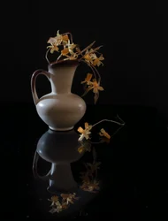 Elegant blomsterstilleben