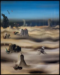 Skuggland
