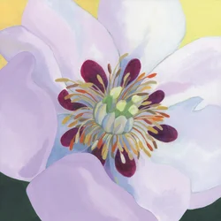 Färgsprakande magnoliablommor