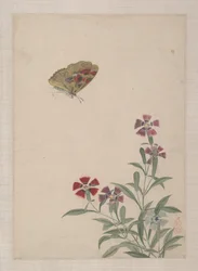 Fåglar, insekter och blommor