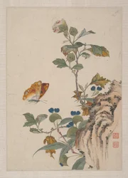 Fåglar, insekter och blommor