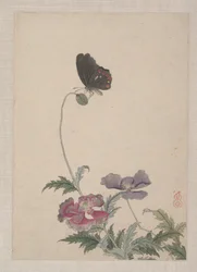 Fåglar, insekter och blommor