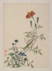 Fåglar, insekter och blommor