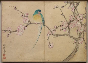 Skrivbordsalbum: Flower and Bird Paintings Bird with Plum Blossoms, 1700-talet.