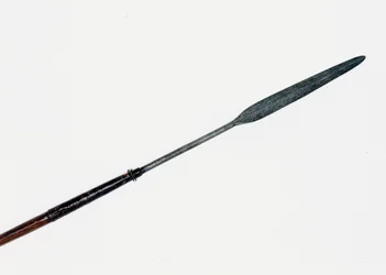 Assegai återhämtade sig från närheten av Prince Imperials kropp