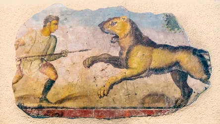 En romersk jägare konfronterar ett laddande lejon., 2021 (foto)