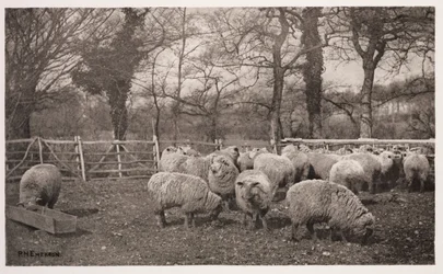 "En höstpastoral"