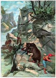 Björn attack