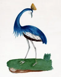 Krönhäger