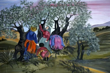 Olivplockning, naiv av Barbara Mencarelli, Mandoleto, Solomeo, Umbrien, Italien