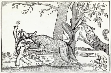 Vargen cirka 1820 (gravyr)