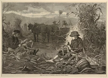 The Last Days of Harvest, från Harper