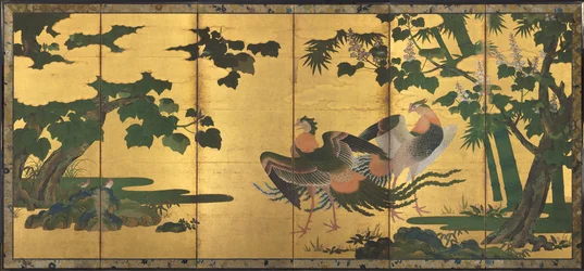 Phoenixes och Paulownia