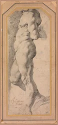 Studie av en stående manlig nakenbild