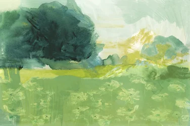 Sammanfattning: Meadow Light