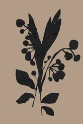 Mörk botanisk silhuett
