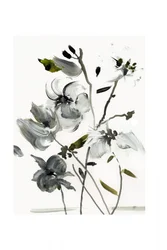 Eleganta abstrakta blommor