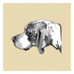Elegant hundprofil