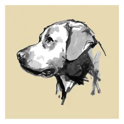 En uttrycksfull hunds profil