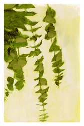Vajande gröna blad