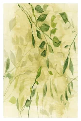 Gröna botaniska lager