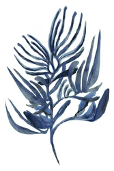Indigo – en botanisk studie