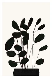 Minimalistisk krukväxt