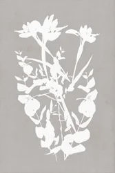 Moderna botaniska silhuetter