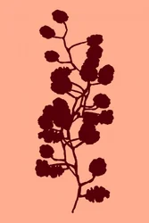 Persikans botaniska silhuett
