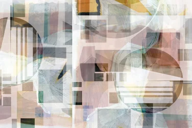 Mjuk geometrisk abstraktion