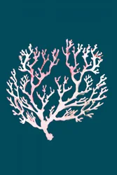 Mjuk rosa korall