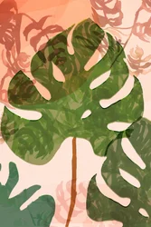Tropiska Monstera-blad