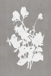 Vit blommig silhuett