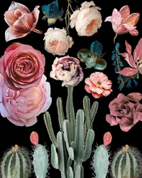 Kaktusar, blommor, botanik