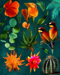 Tropiska fåglar och blommor
