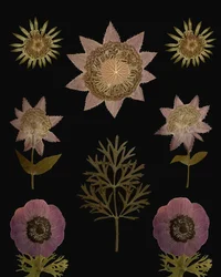 Vintage-torkade blommor