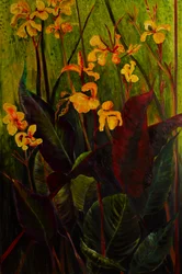 Canna Lily, 2017 (olja på duk)