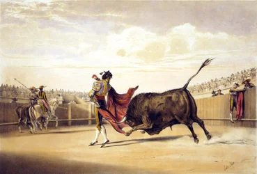 Tjur laddar medan matador spelar udden
