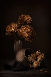 Stilleben med mörk hortensia