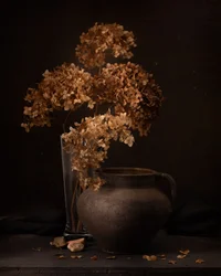 Stilleben med rustika torkade blommor