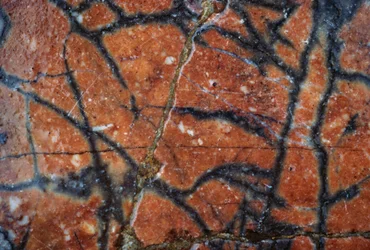 Marmorgolv, detalj, Hadrianus villa, 2:a århundradet e.Kr., Tivoli, Lazio, Italien (foto)